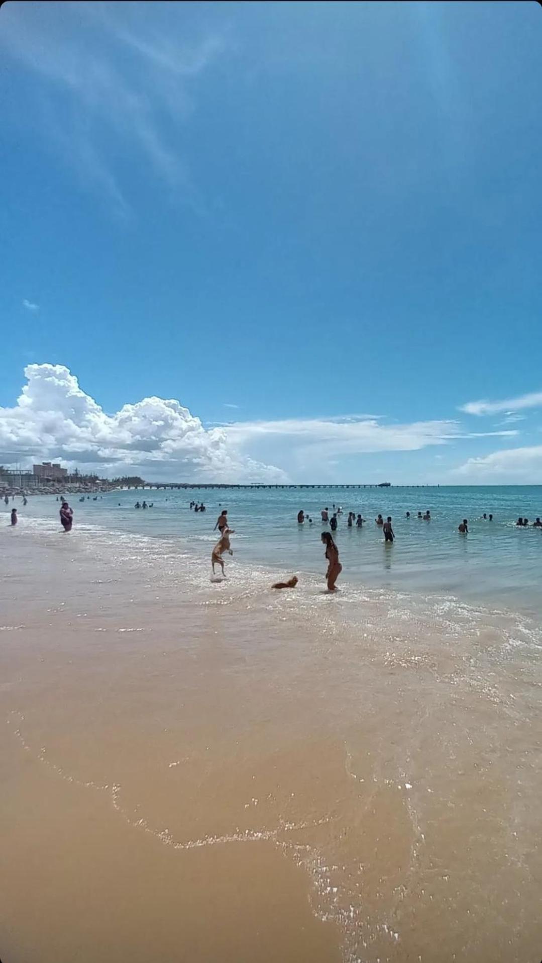 Jardim Iracema Apartment Fortaleza  Luaran gambar